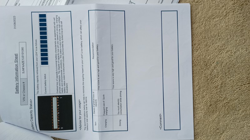 Leaf Tekna 2020 Service Records (9)